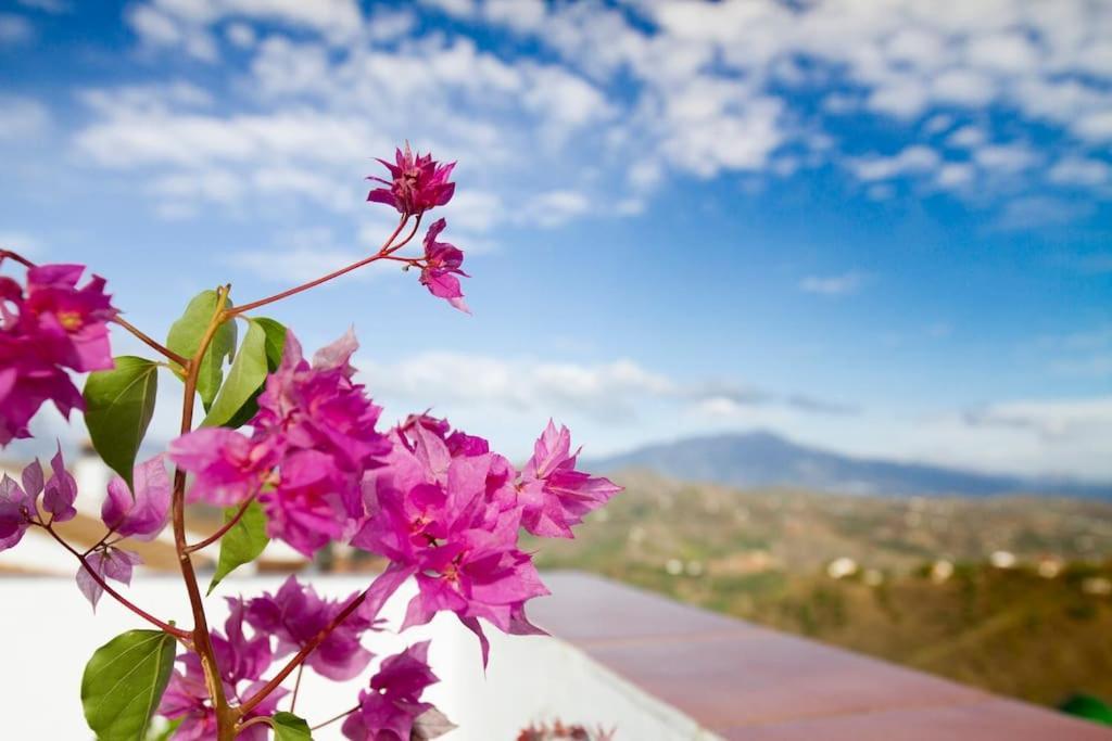 Rooftop Terrace & Panoramic Mountain View'S Villa Cutar Eksteriør billede